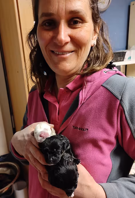 MVDr. Denisa Němcová full